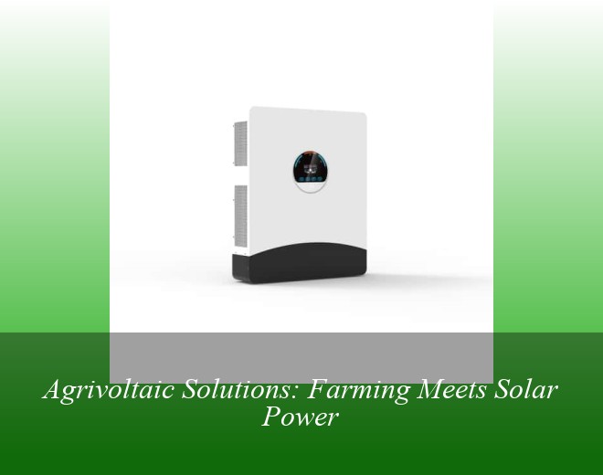 Agrivoltaic Solutions: Farming Meets Solar Power
